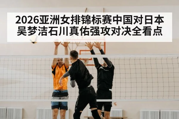 volleyball block net